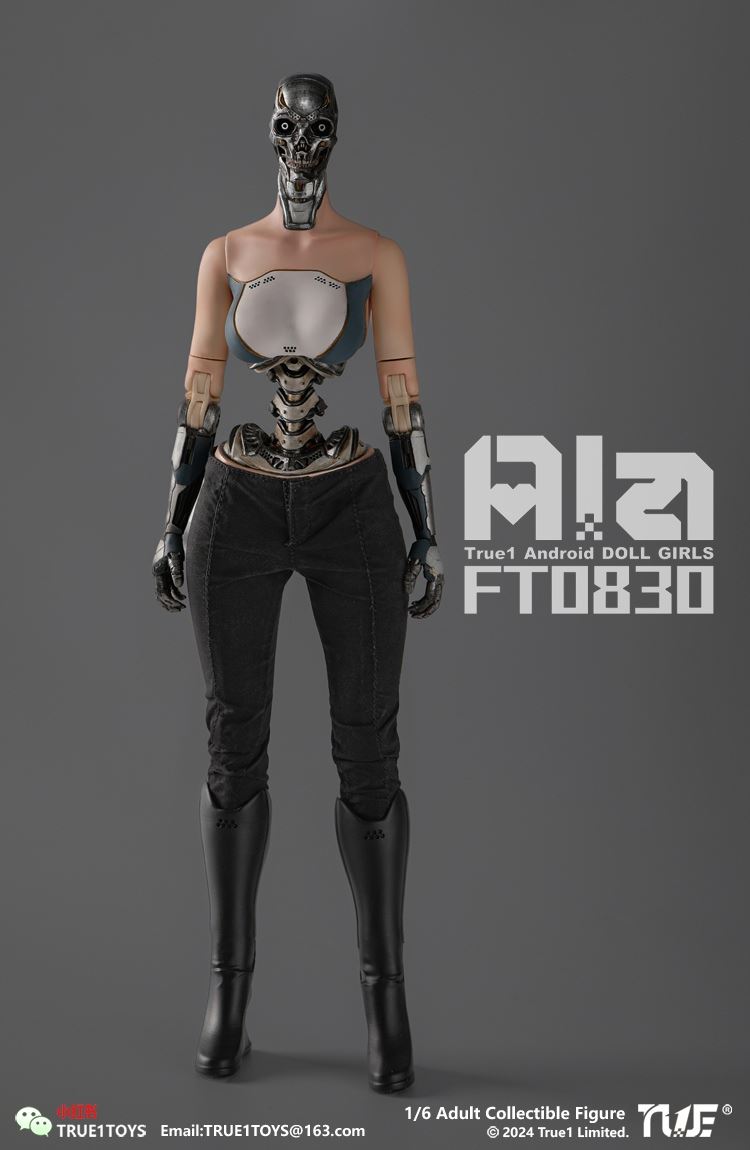 Android Ala 1/6