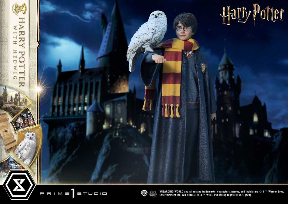Harry Potter With Hedwig