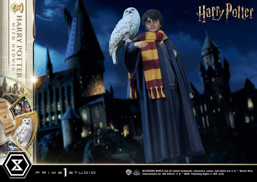 Harry Potter With Hedwig