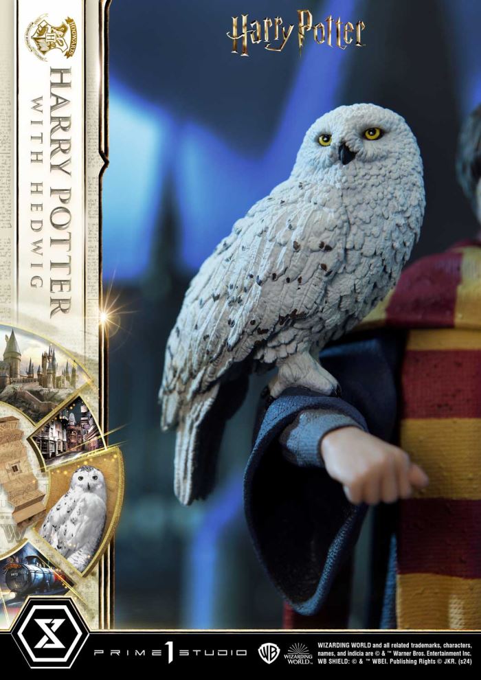 Harry Potter With Hedwig
