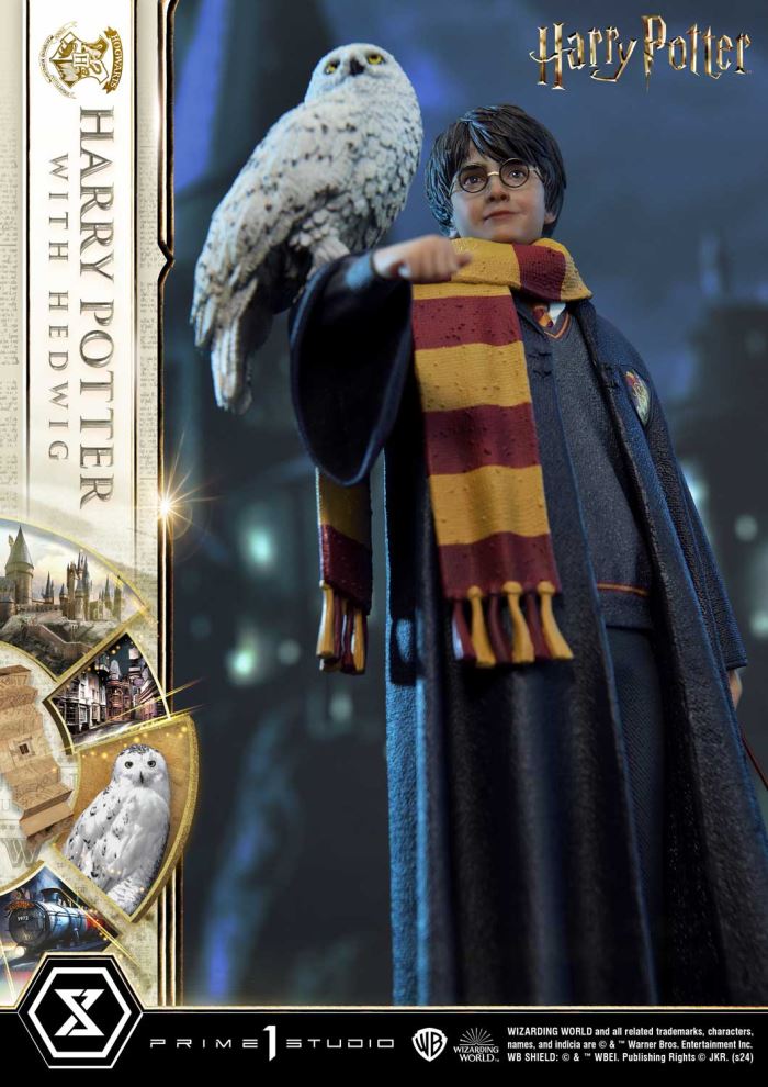 Harry Potter With Hedwig