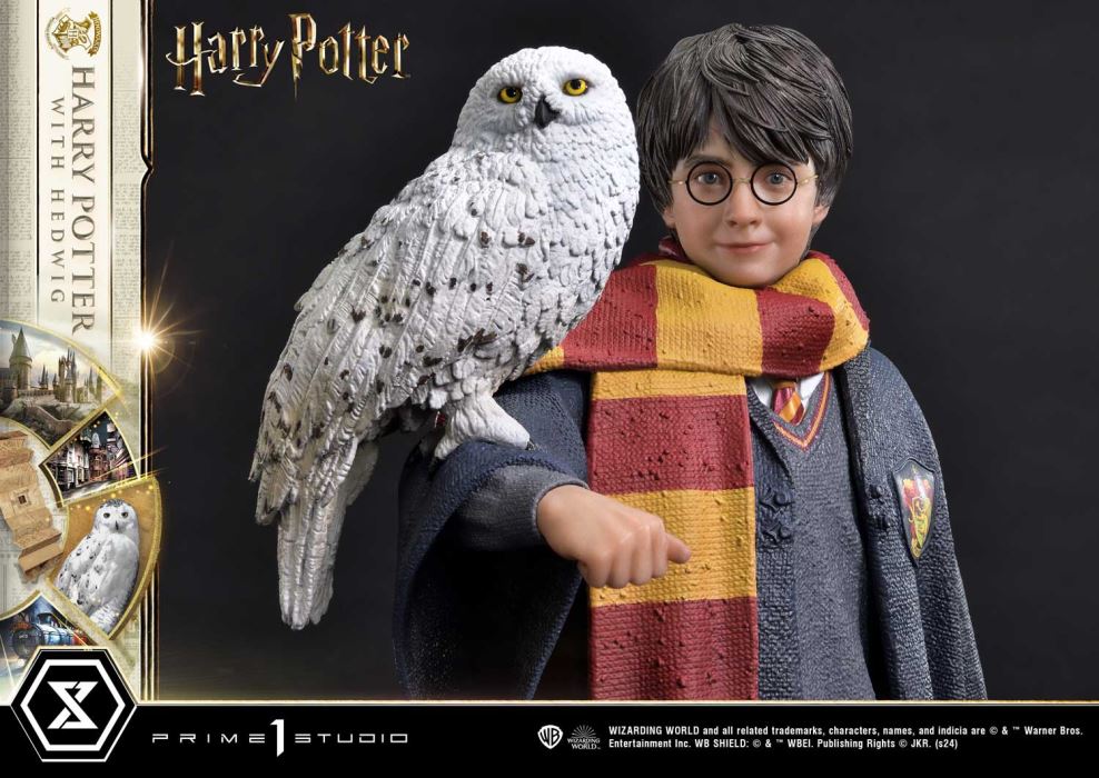 Harry Potter With Hedwig