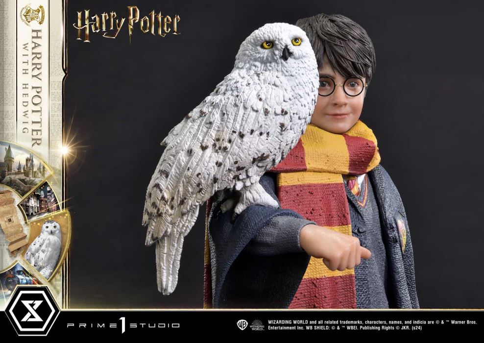 Harry Potter With Hedwig