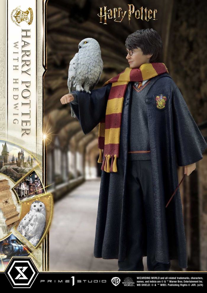 Harry Potter With Hedwig