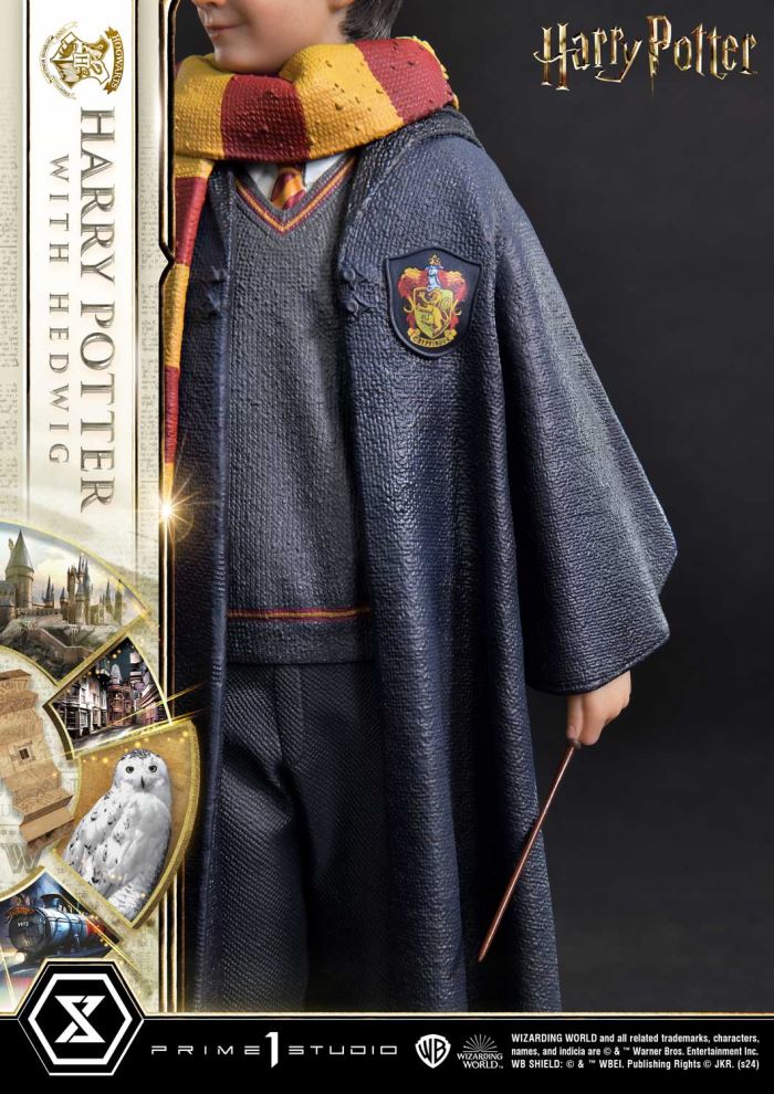 Harry Potter With Hedwig