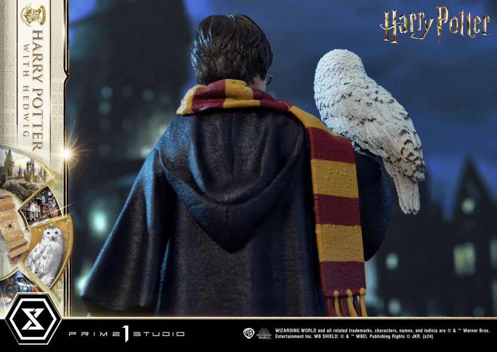 Harry Potter With Hedwig
