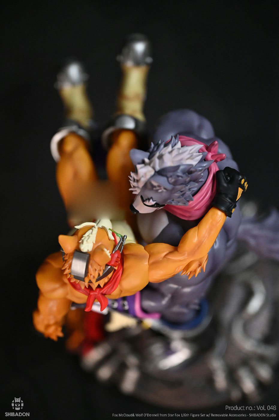 Fox McCloud & Wolf O’ Donnell – Star Fox