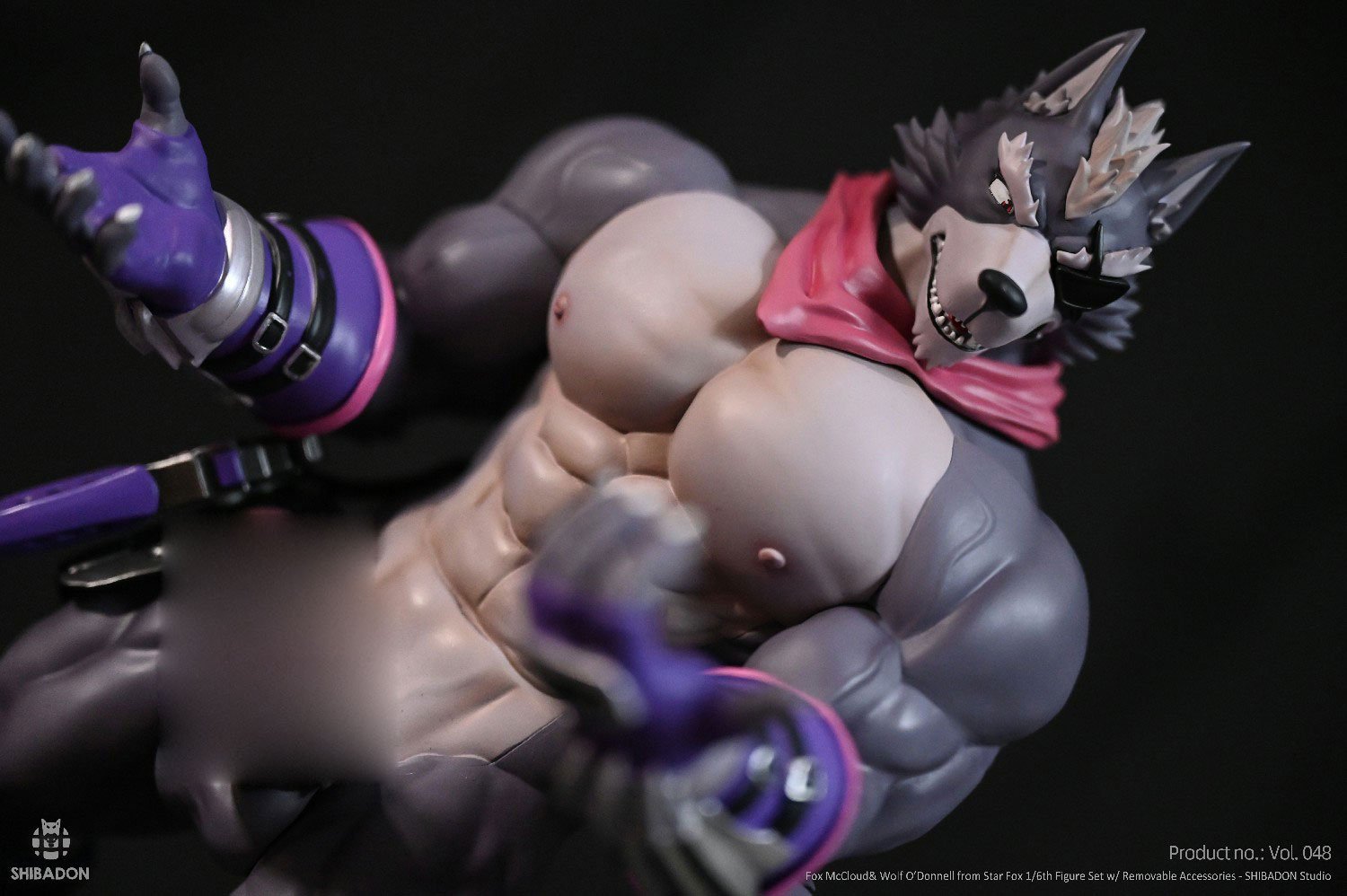 Fox McCloud & Wolf O’ Donnell – Star Fox