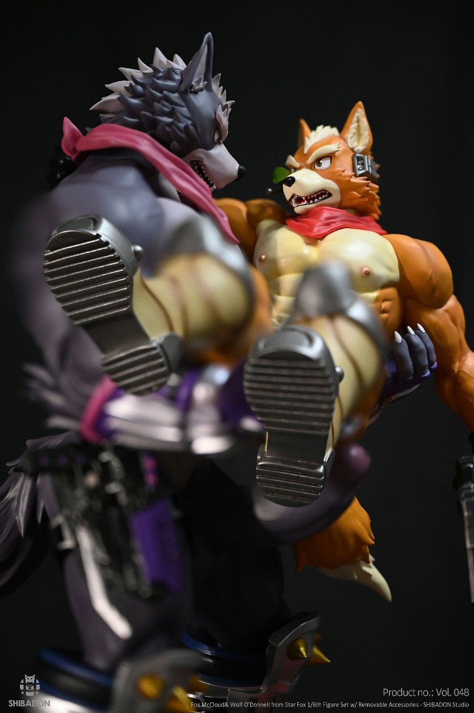 Fox McCloud & Wolf O’ Donnell – Star Fox