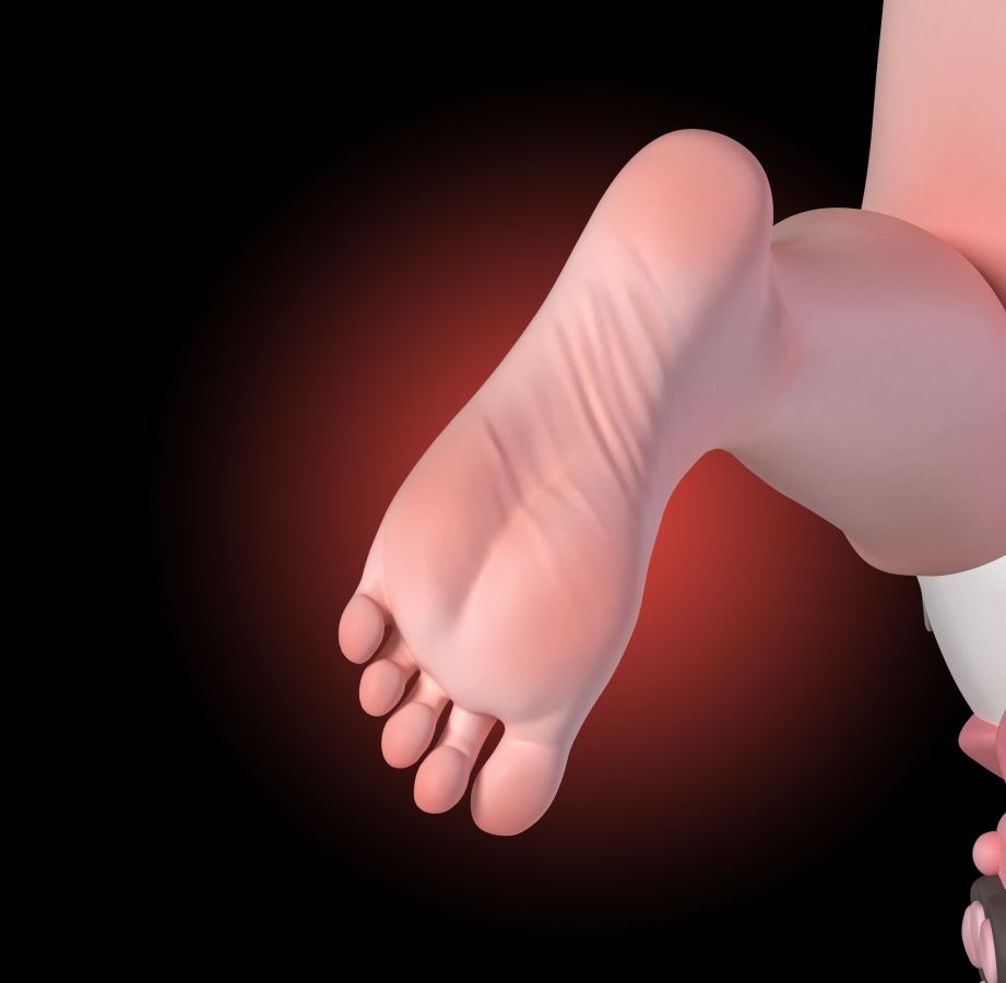 Swimming Suit Pardofelis - Honkai Impact 3rd