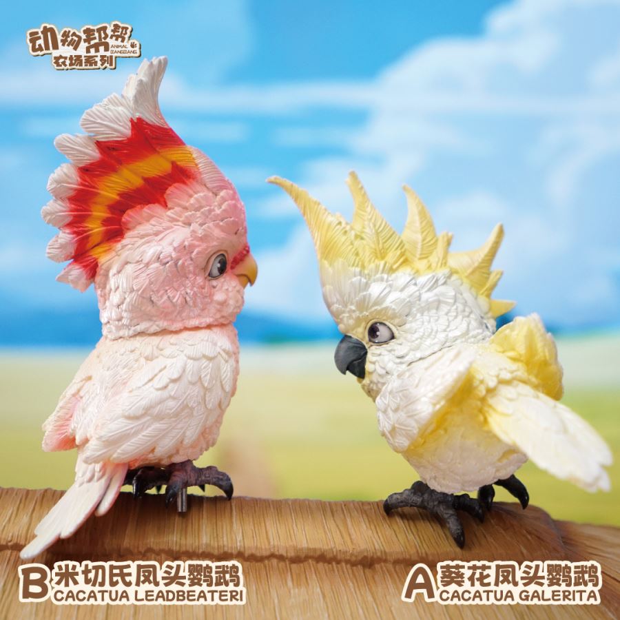 Original What bird? Series Sunflower Parrot & Mitchell Parrot