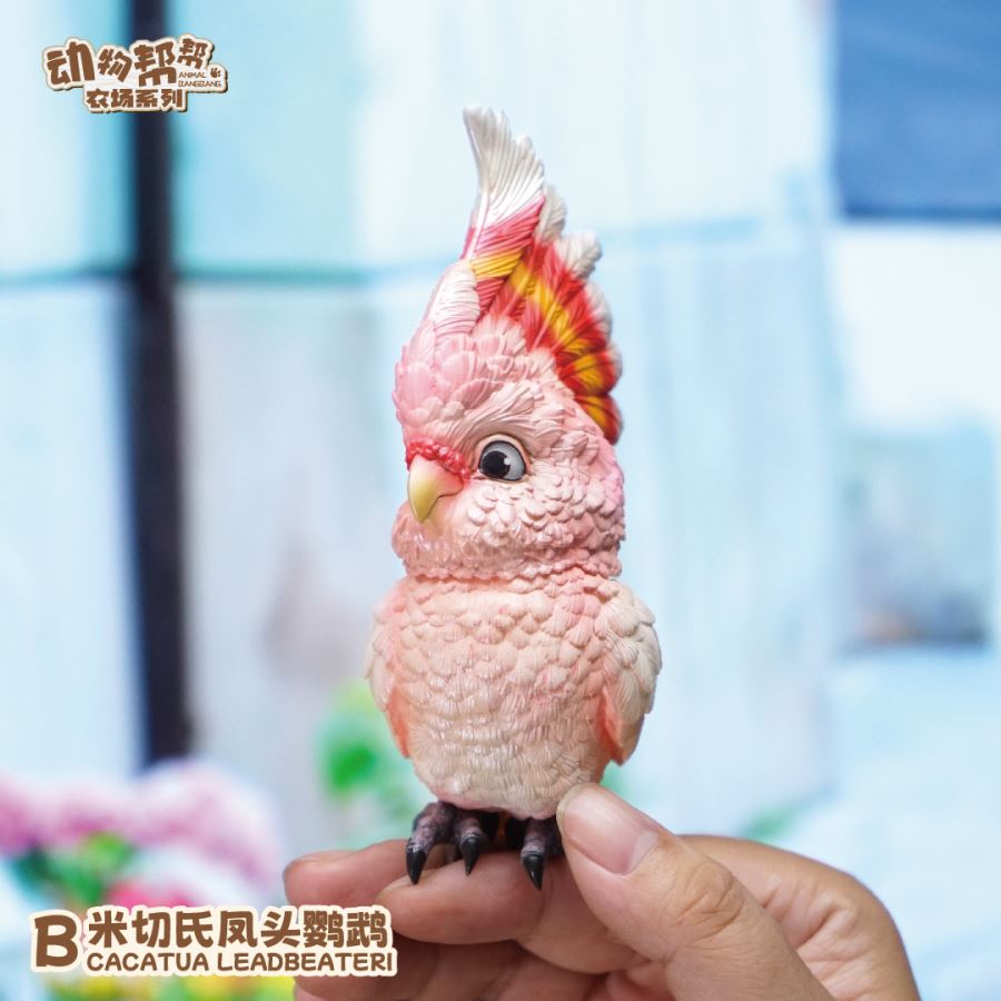 Original What bird? Series Sunflower Parrot & Mitchell Parrot