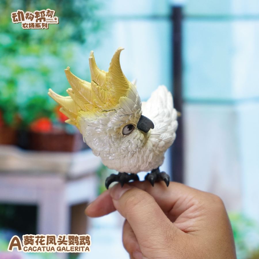 Original What bird? Series Sunflower Parrot & Mitchell Parrot