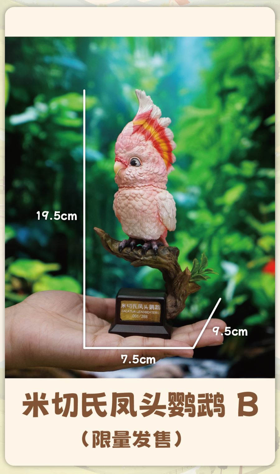 Original What bird? Series Sunflower Parrot & Mitchell Parrot