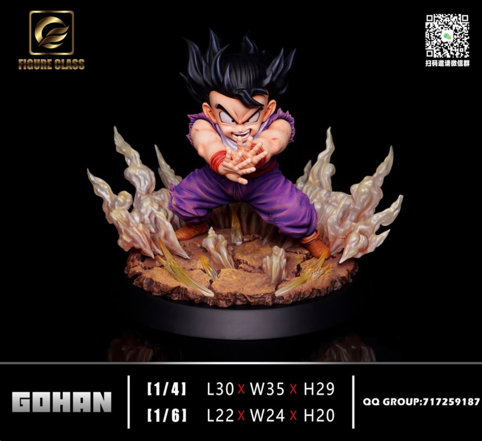 Future Gohan - Dragon Ball