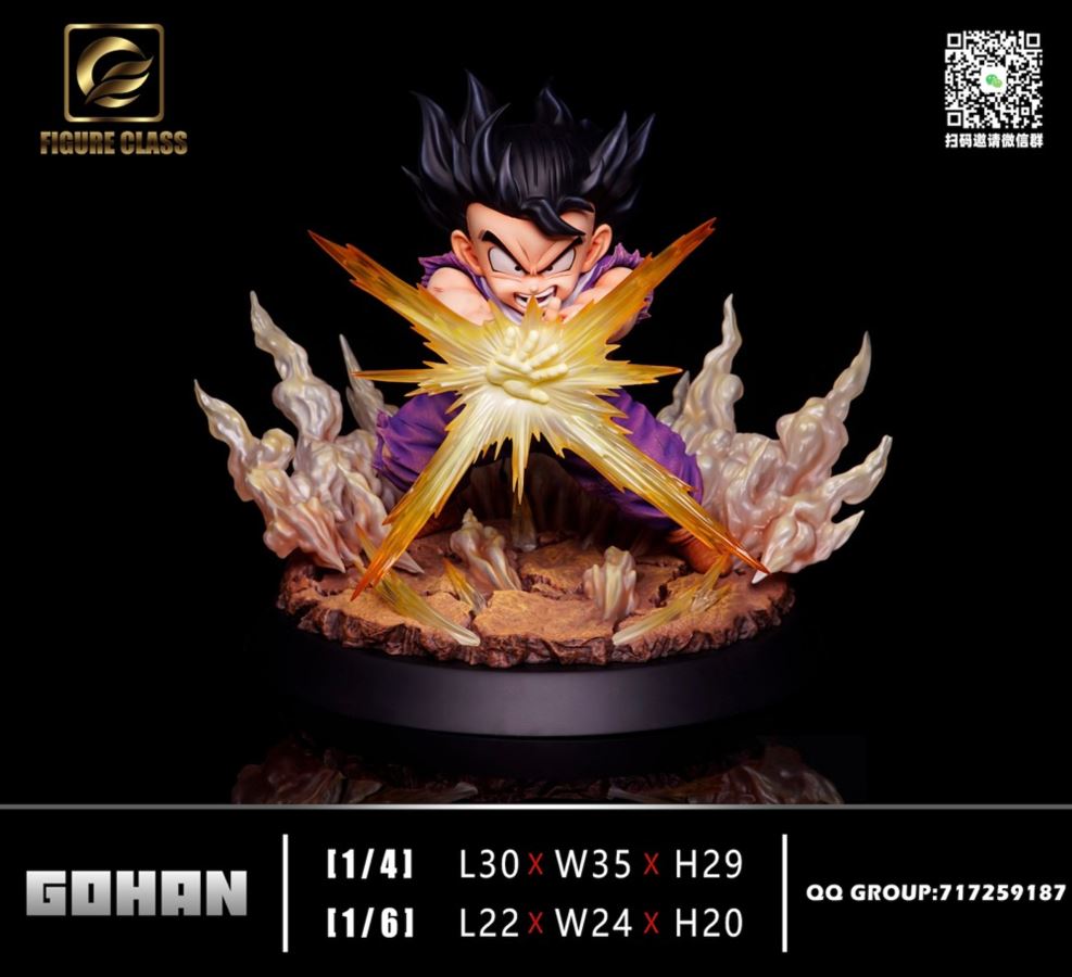 Future Gohan - Dragon Ball