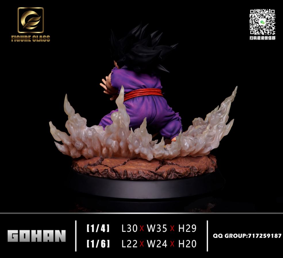 Future Gohan - Dragon Ball