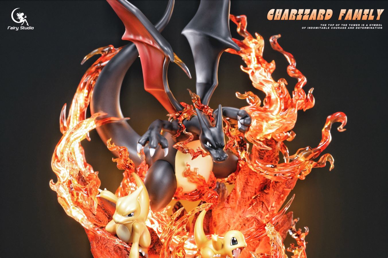 Charizard family - Pokemon
