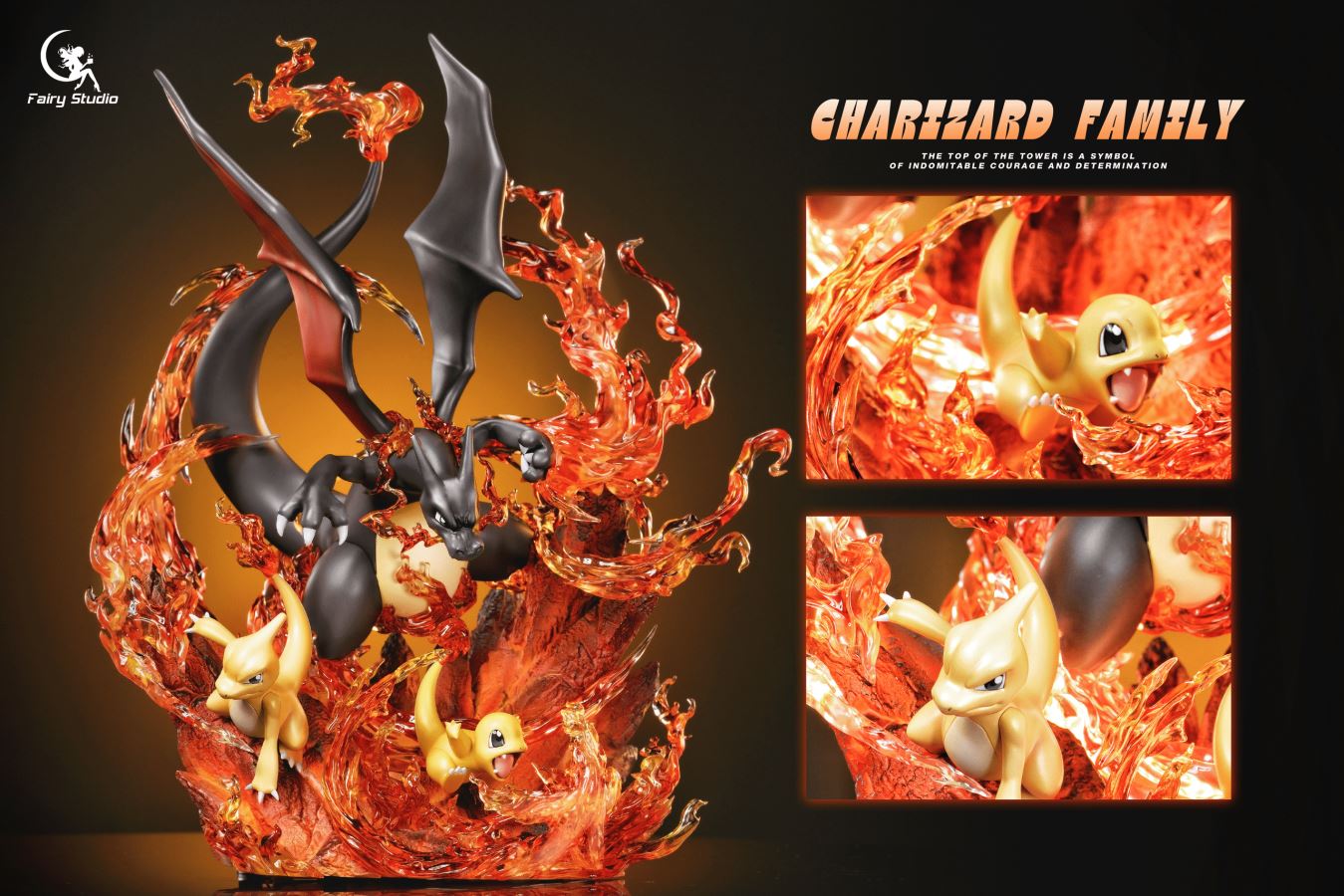 Charizard family - Pokemon