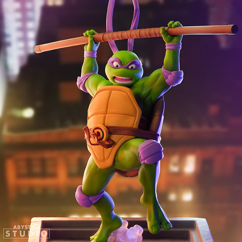 Teenage Mutant Ninja Turtles: Raffaello & Donatello