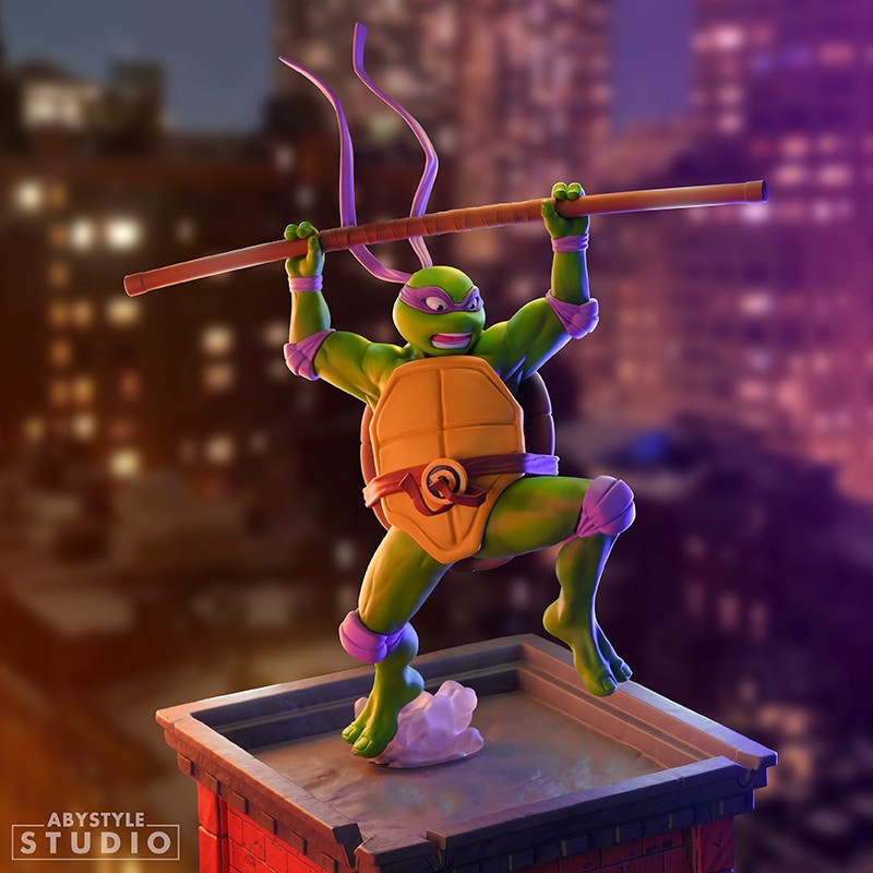 Teenage Mutant Ninja Turtles: Raffaello & Donatello