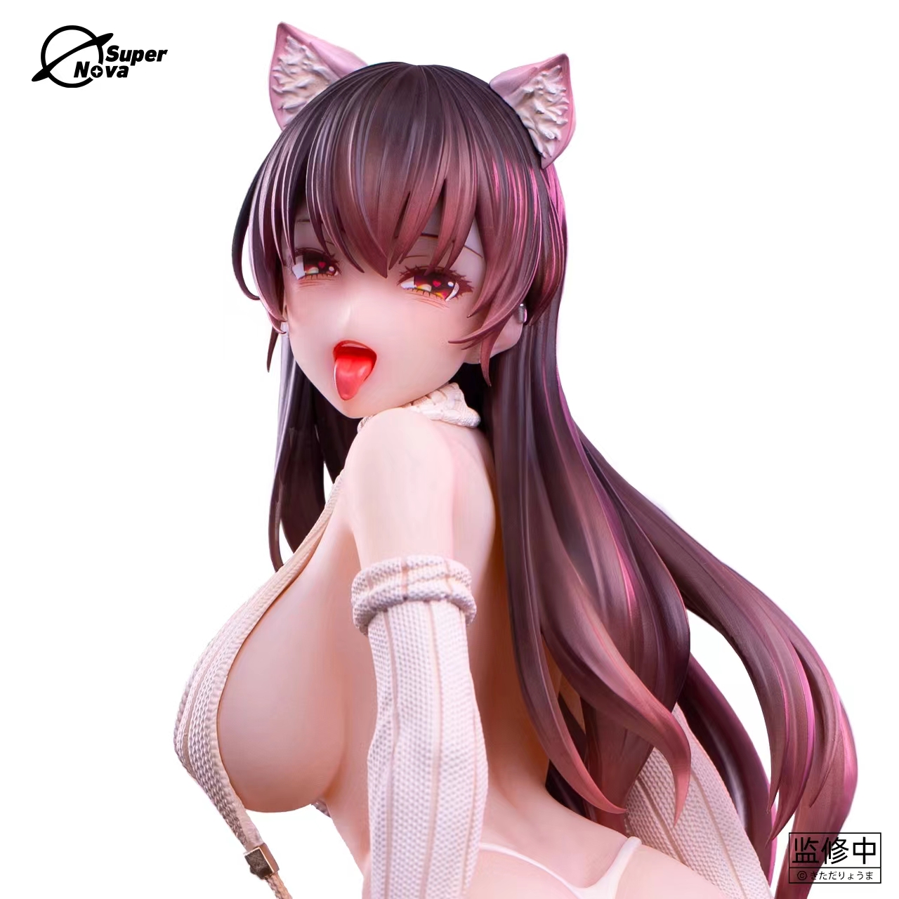 Kitada Ryoma Sauce - Private Girl 1/6