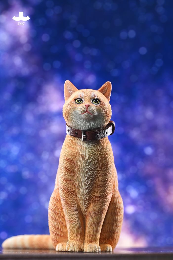 Chinese Garden Cat 1/6