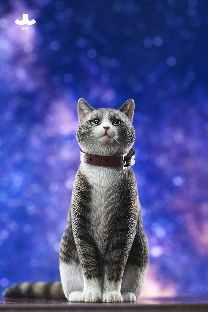 Chinese Garden Cat 1/6