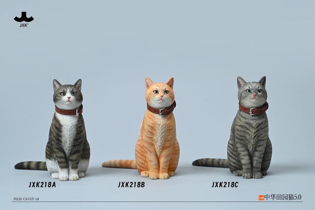 Chinese Garden Cat 1/6