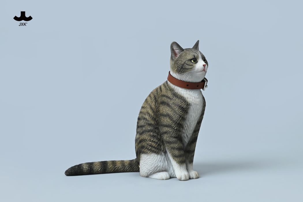 Chinese Garden Cat 1/6