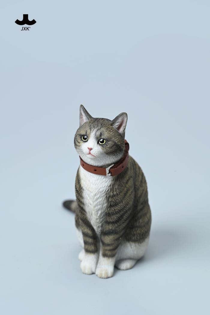 Chinese Garden Cat 1/6