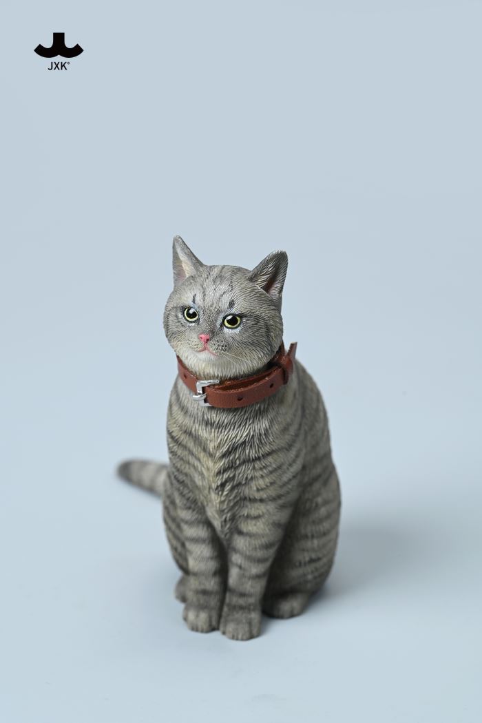 Chinese Garden Cat 1/6