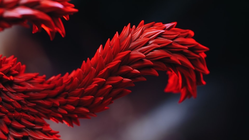 Electromagnetic Gun Eustass Kid - One piece