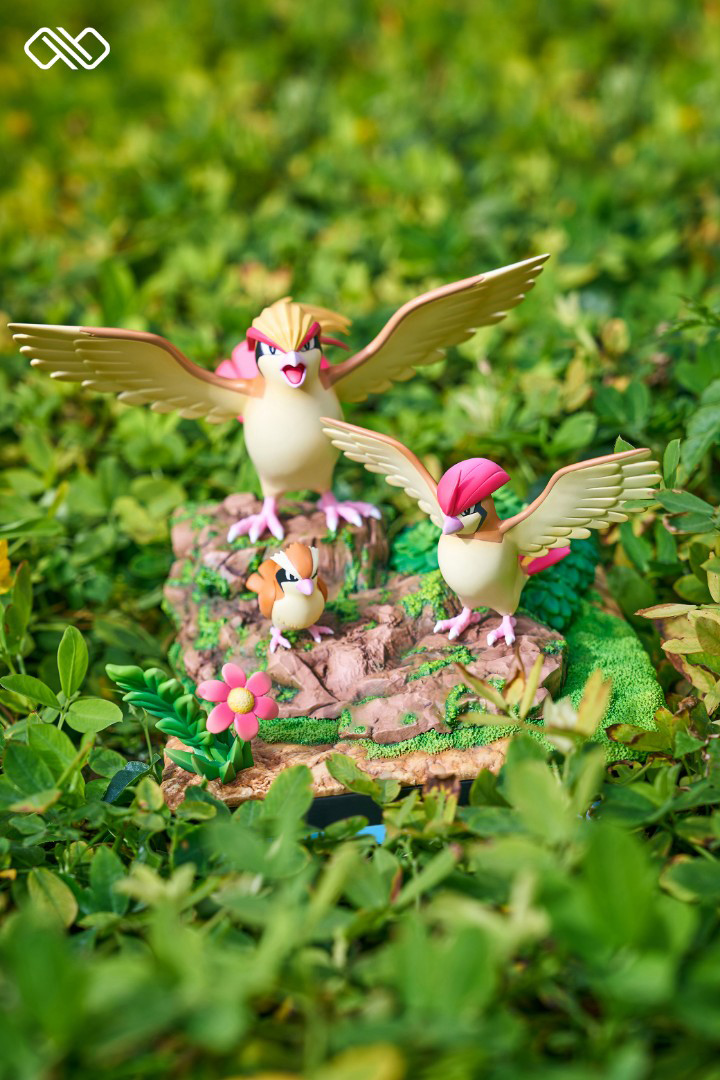 Pidgey & Pidgeot & Pidgeot Evolution Set - Pokemon