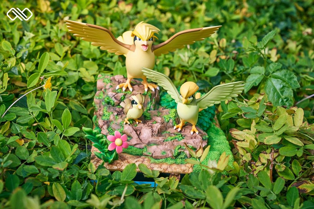 Pidgey & Pidgeot & Pidgeot Evolution Set - Pokemon