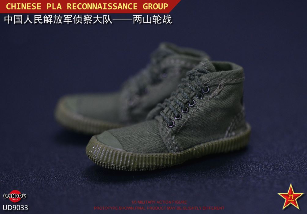 Chinese People's Liberation Army Reconnaissance Brigade Capturer 1/6