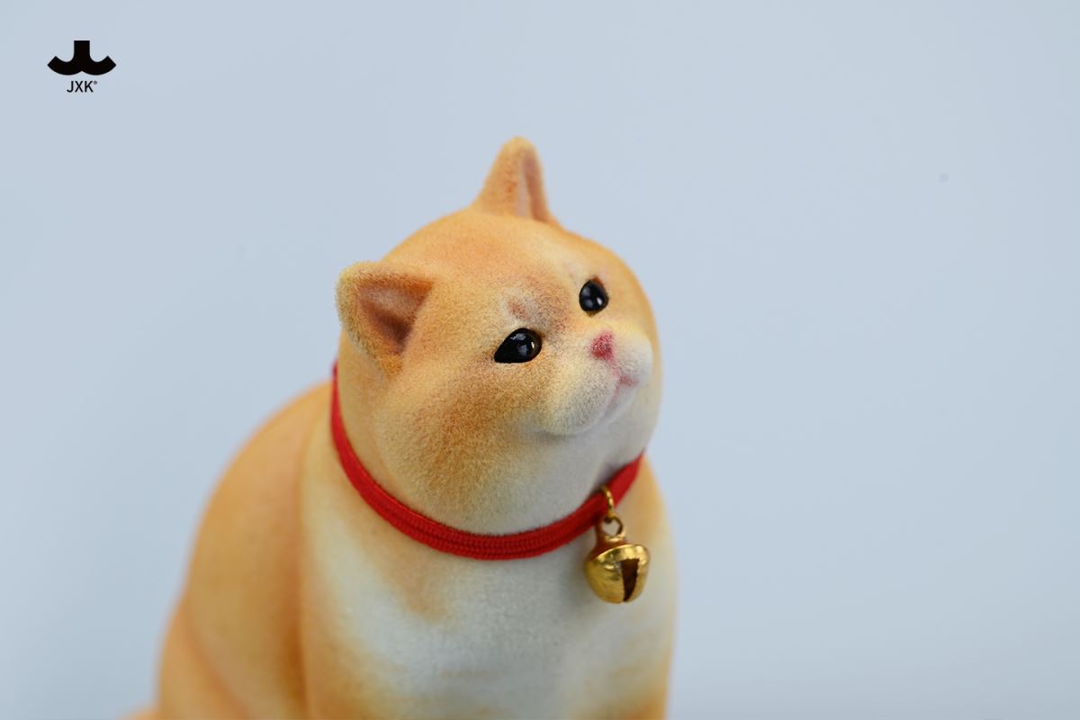 British shorthair cat 1/6