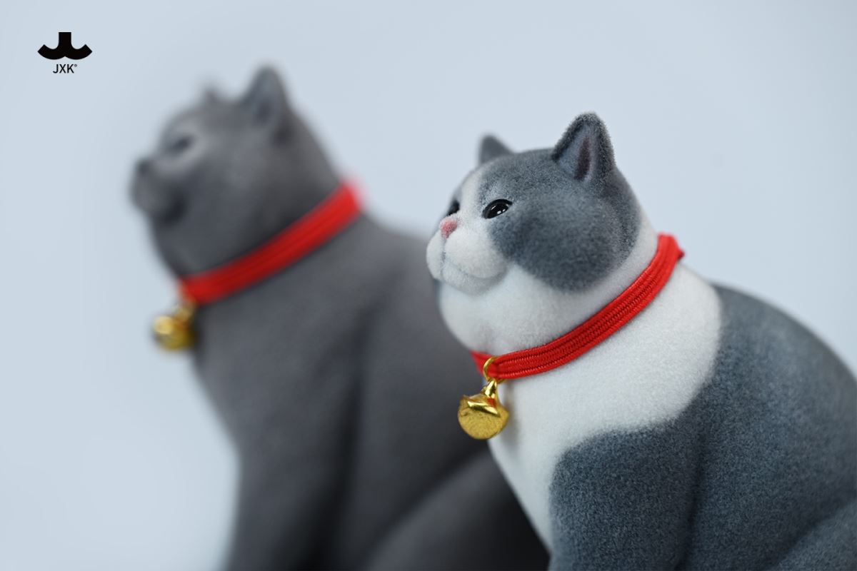 British shorthair cat 1/6