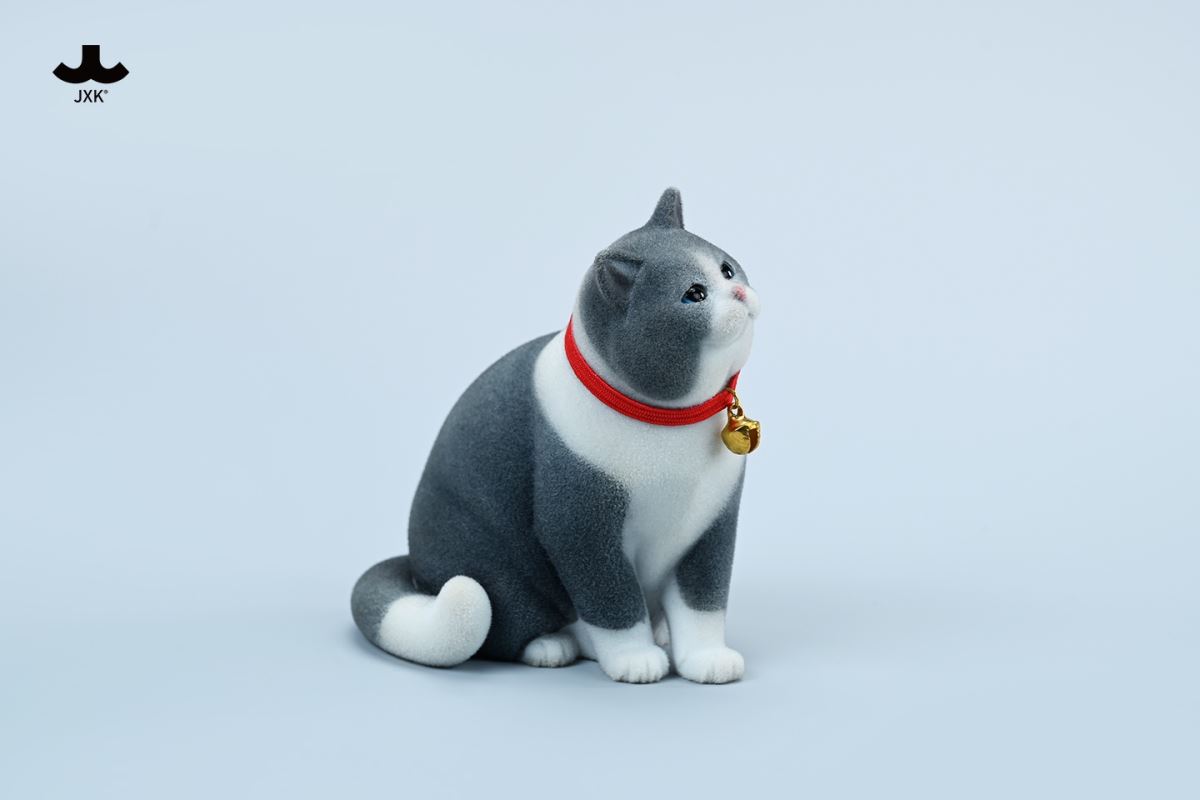 British shorthair cat 1/6