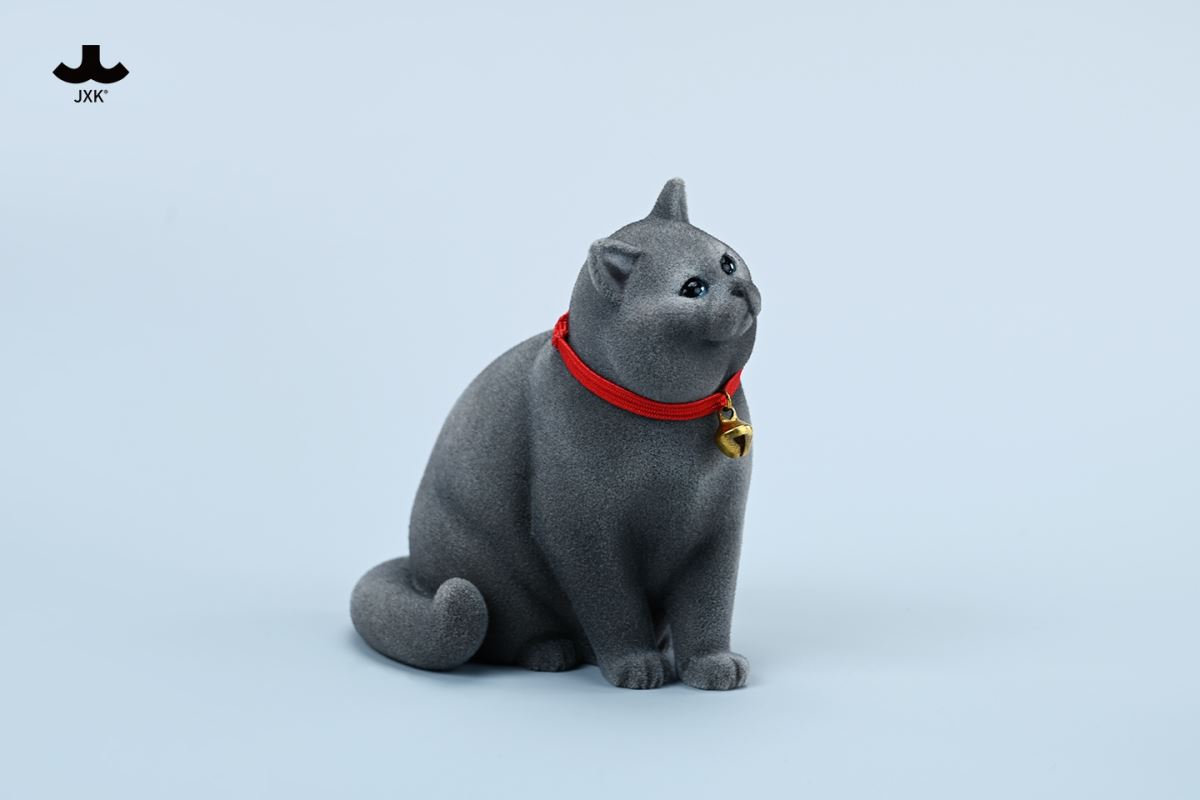British shorthair cat 1/6