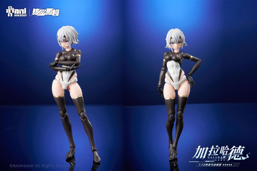 RECONSTRUCTION White Dragon Knight Galahad