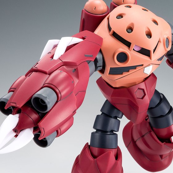 HG 1/144 AMAZING Z'GOK
