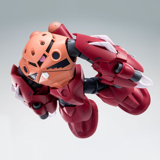 HG 1/144 AMAZING Z'GOK