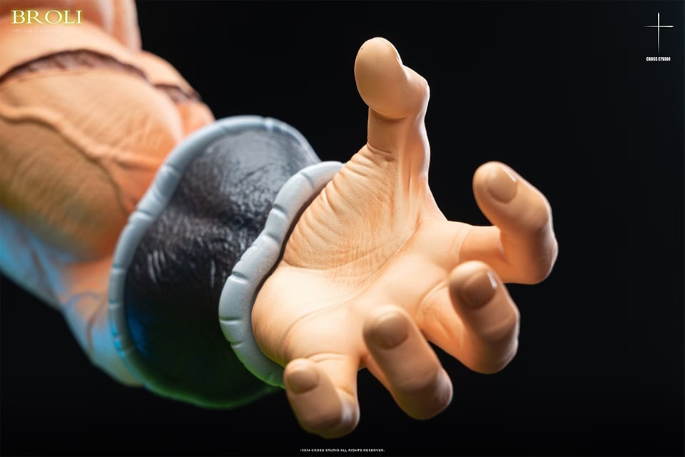 Broly - Dragon Ball Super