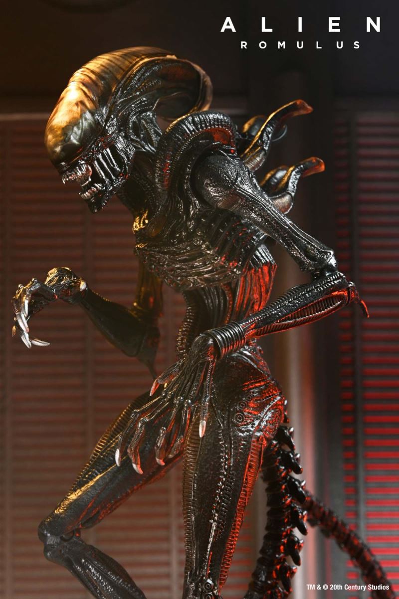 Alien: Romulus Ultimate Scorched Xenomorph