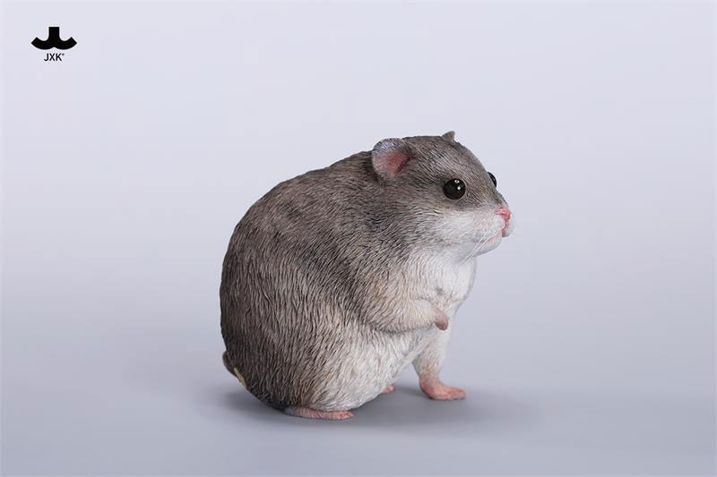 Hamster A 1/1