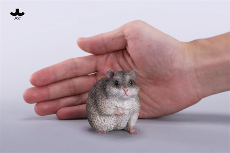 Hamster A 1/1