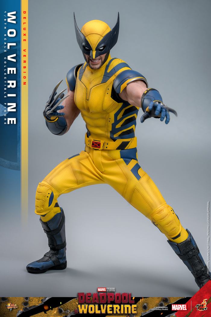 Wolverine 1/6