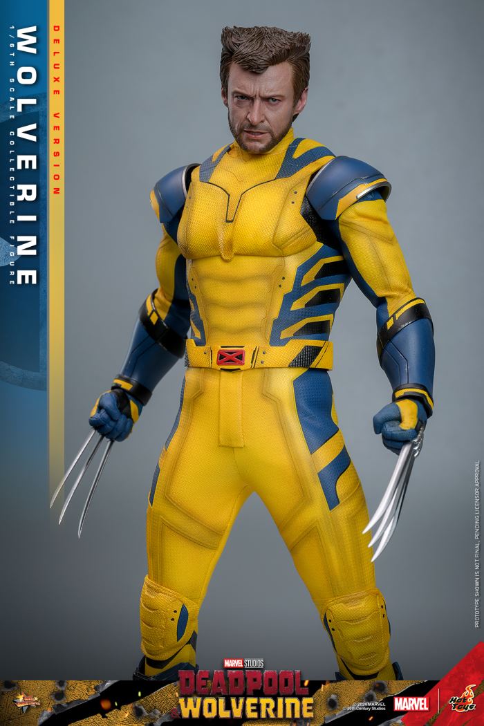 Wolverine 1/6