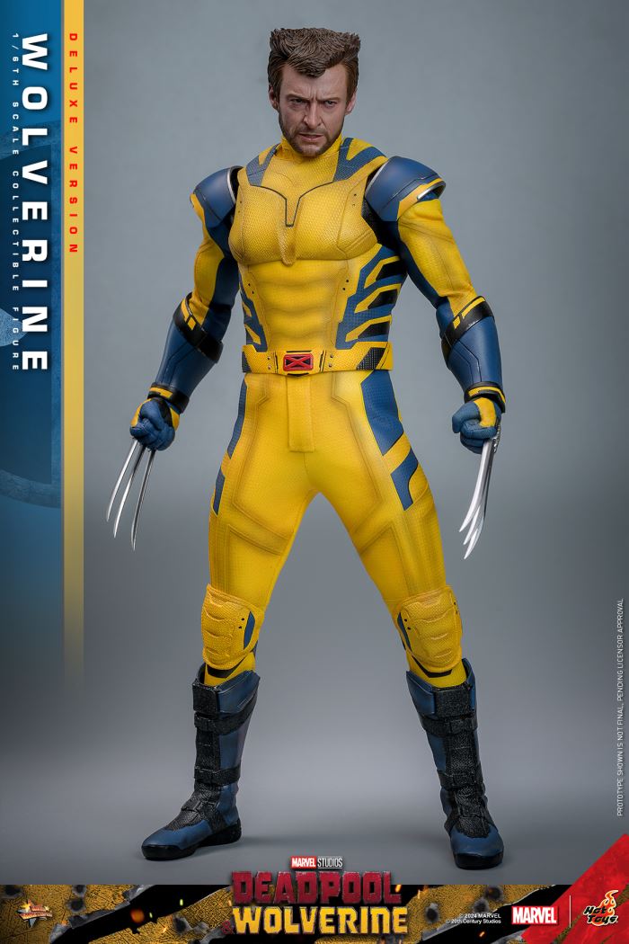 Wolverine 1/6